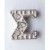 Greek Letter - Sigma Charm  + $2.50 