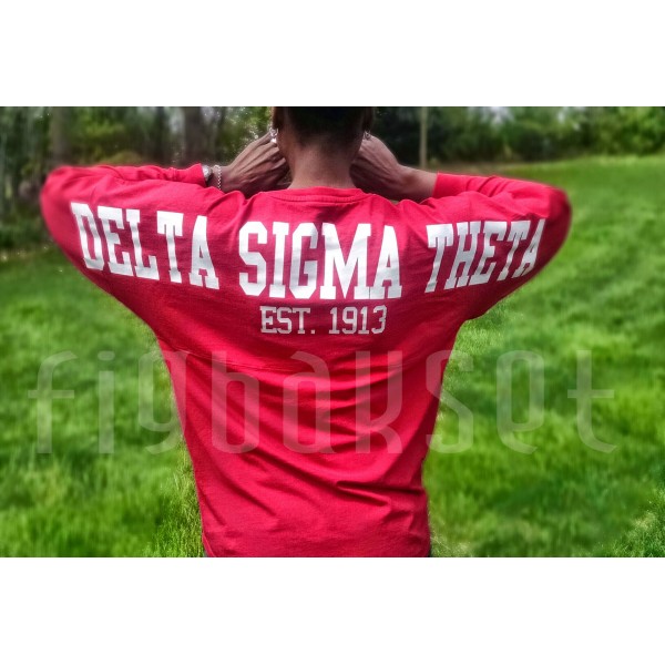 T-Shirt: Delta Spirit Jersey